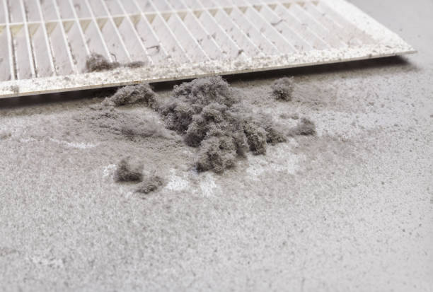 Best Affordable Air Duct Cleaning  in Lam, AR