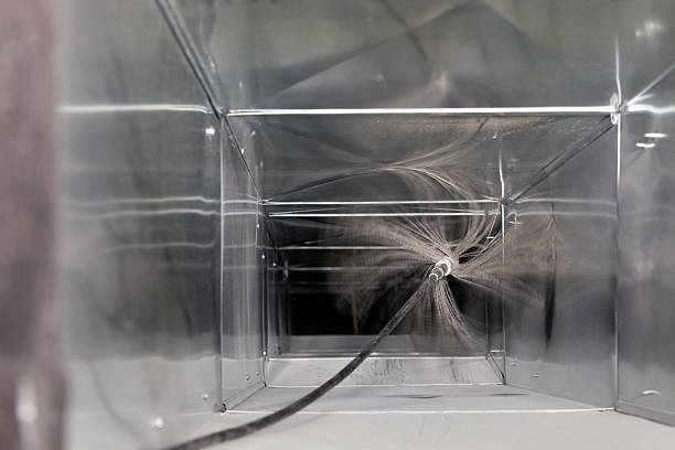 Best Dryer Vent Cleaning Services  in Lam, AR