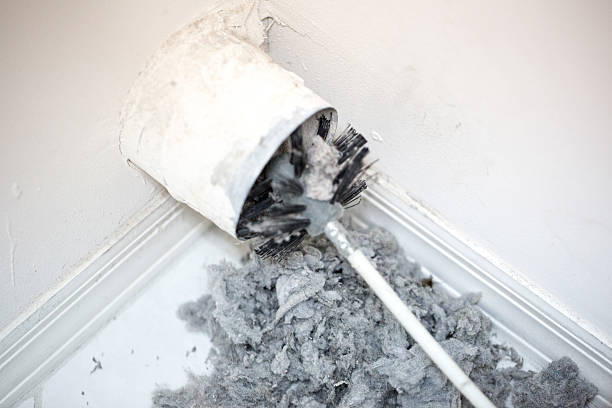Best Professional Duct Cleaning Services  in Lam, AR
