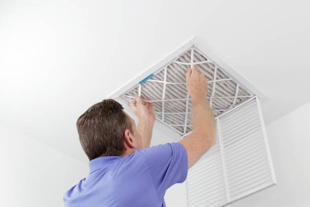 Best Residential Air Duct Cleaning  in Lam, AR